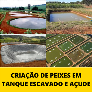 CRIACAO-DE-peixes-EM-TANQUE-ESCAVADO-E-ACUDE.png