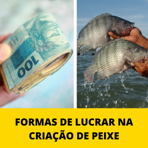 FORMAS-DE-LUCRAR-NA-CRIACAO-DE-PEIXE.png