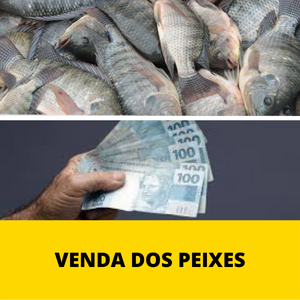 venda-dos-peixes-1.png