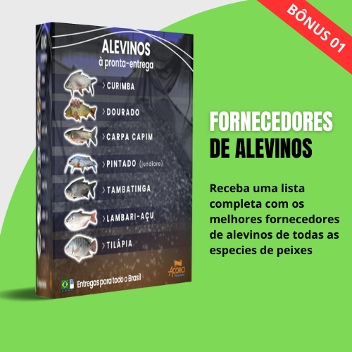 BÔNUS 1 fornecedor de alevinos 2