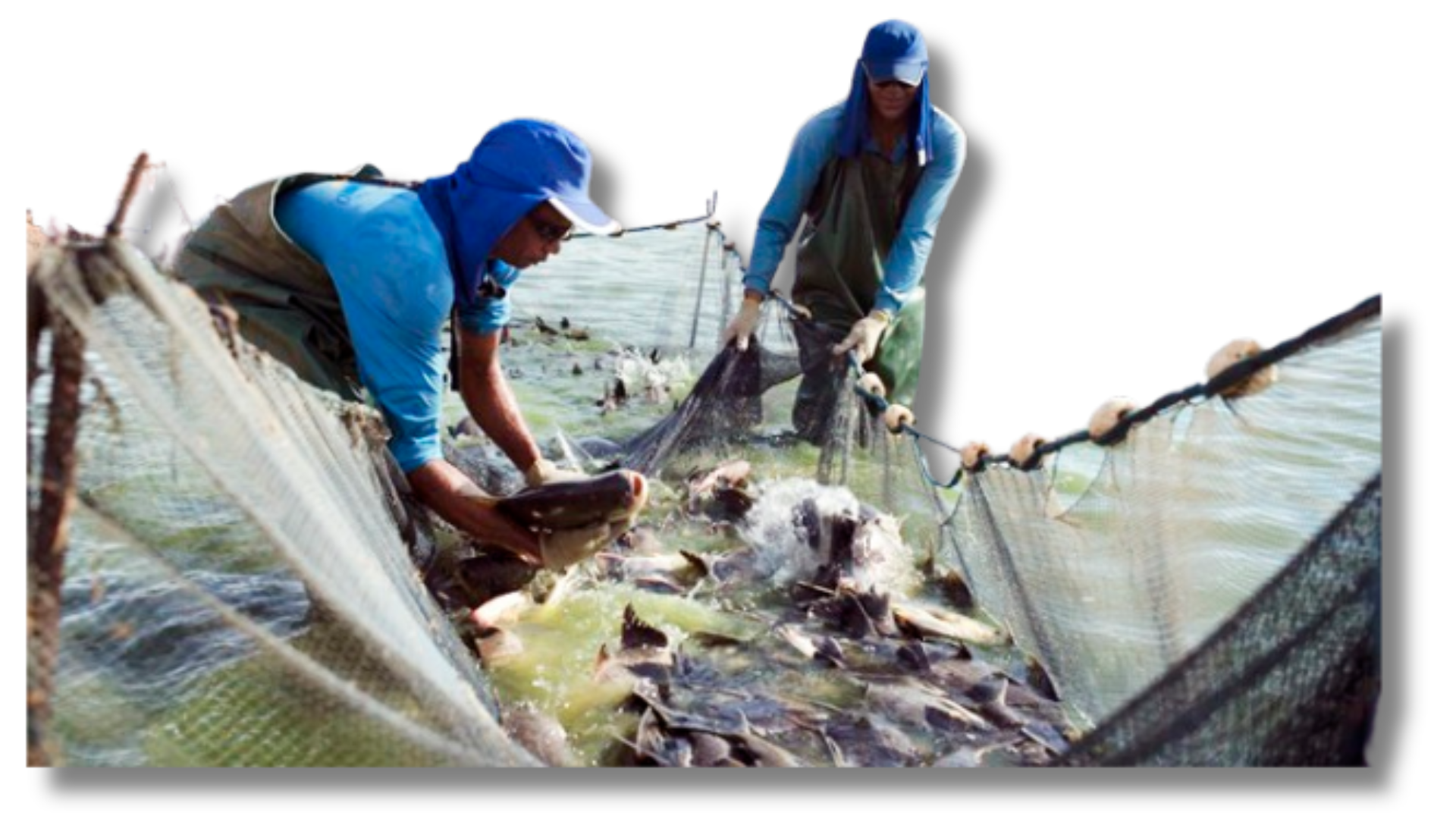 Design sem nome (16)